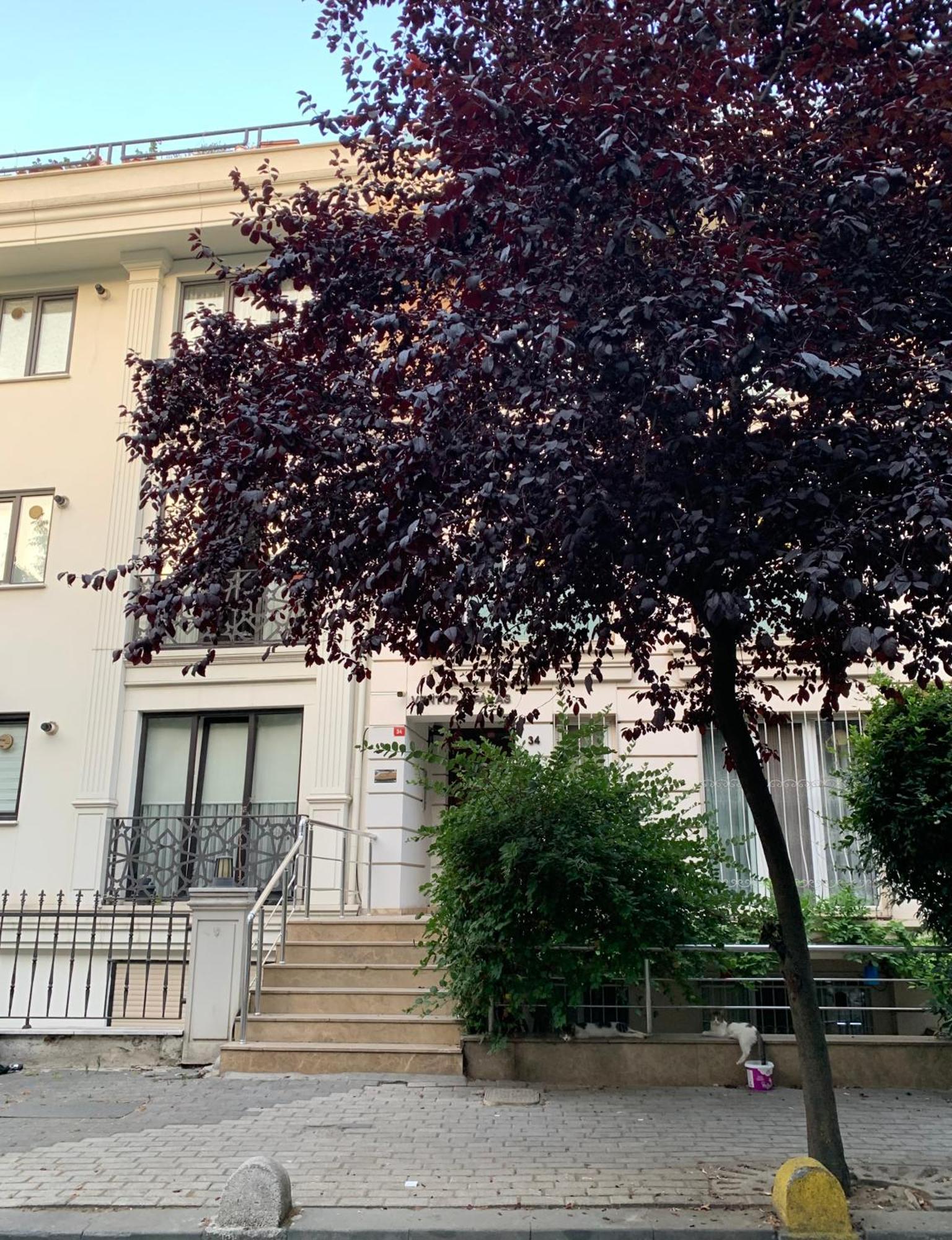 Kaplan Luxury Family Flat - 3 Bedrooms With Air Conditioning & Heating In The Appartement Istambul